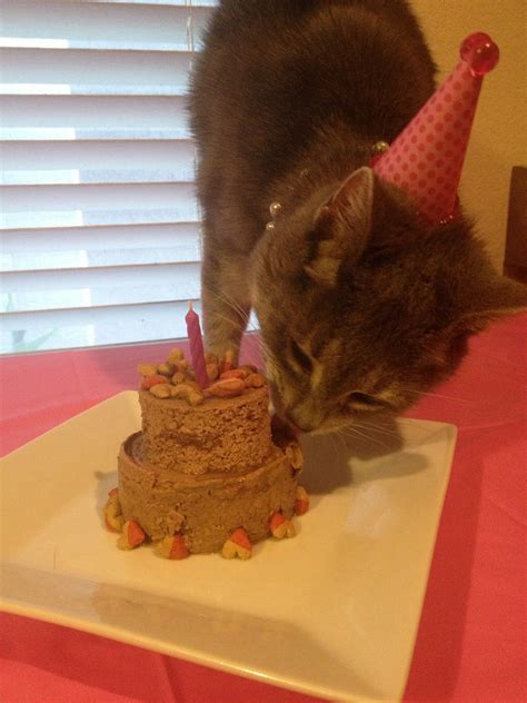 Kitty Party, Cat Birthday Party, Animal Birthday, Cake Birthday ...