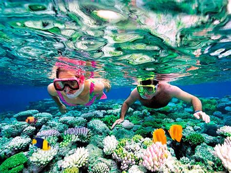 Puerto Morelos Snorkeling | The best Snorkeling in Riviera Maya | Puerto Morelos