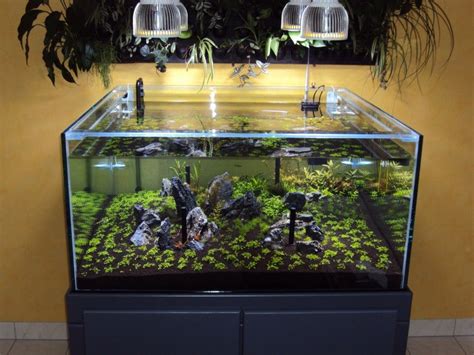 aquarium pendant lighting - Google Search | Aquário plantado, Aquário ...