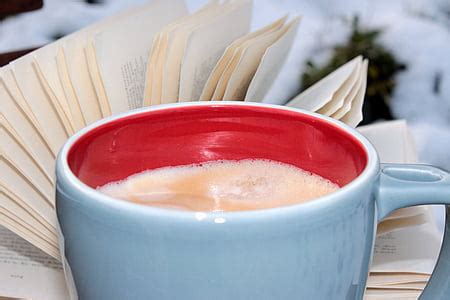 Royalty-Free photo: Lovely roseses, book and coffee | PickPik