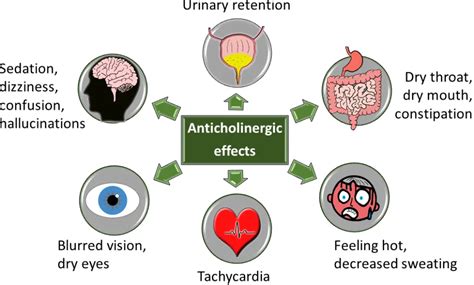 Anticholinergic Side Effects: Types&Prevention - Elder VIP