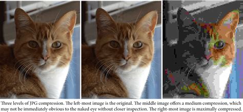 Understanding Compression in Digital Photography