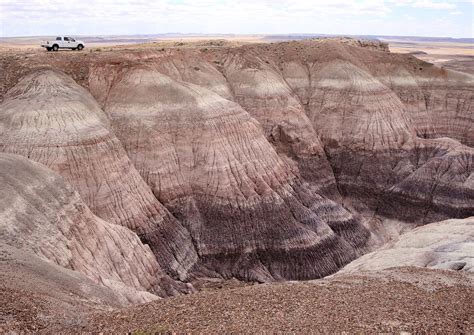 Petrified forest national park,petrified,fossils,national park,america ...