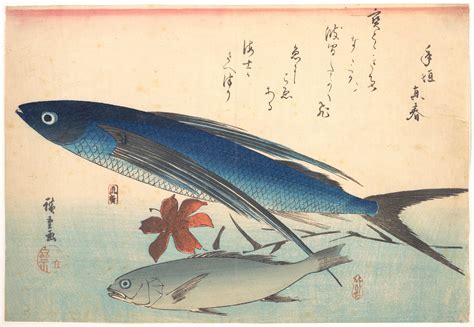 Utagawa Hiroshige | Tobiuo and Ishimochi Fish, from the series Uozukushi (Every Variety of Fish ...