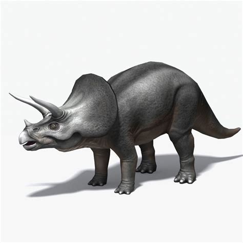 max triceratops cretaceous ceratopsidae ceratopsid