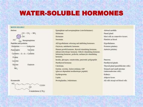 Which Hormones Are Lipid Soluble - cloudshareinfo