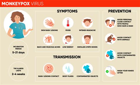 Monkeypox virus symptoms, transmission and prevention infographic ...