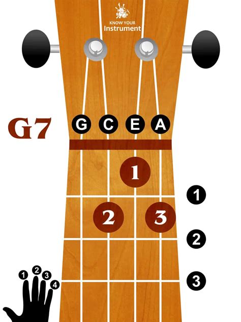 14_G7 - Know Your Instrument