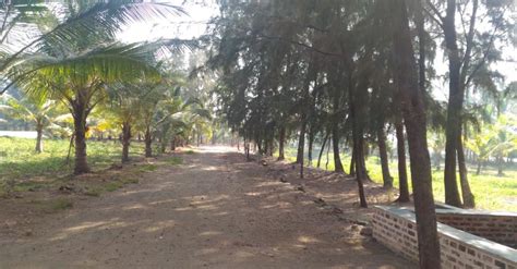 Vihang Vihar Farm, Palghar beach Datiware via Saphale, near Kelwa beach ...