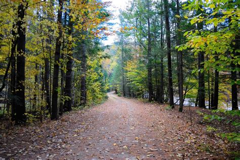 Mohawk Trail State Forest Campground Temporarily Closed for Summer ...