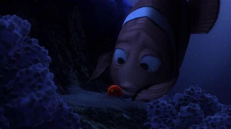 Finding nemo fish with scar - garrycg