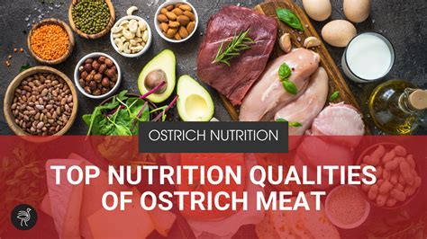 7 Nutritional Qualities of Ostrich Meat – Superior Ostrich