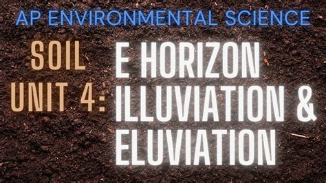 APES Soil Unit 4: E Horizon, Eluviation & Illuviation - YouTube