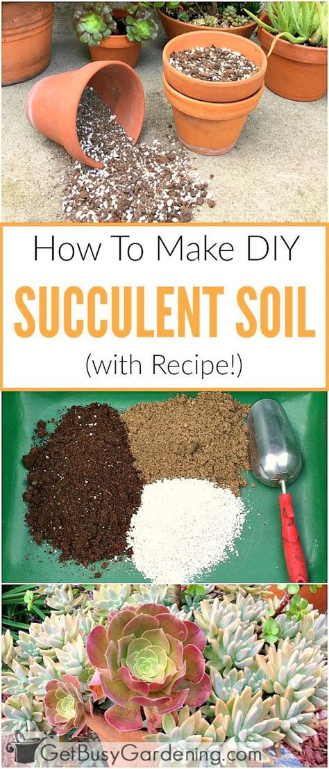 How To Make Your Own Succulent Soil (With Recipe!) | Best soil for succulents, Succulent potting ...