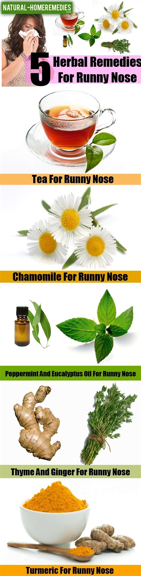 Top 5 Herbal Remedies For Runny Nose – Natural Home Remedies & Supplements