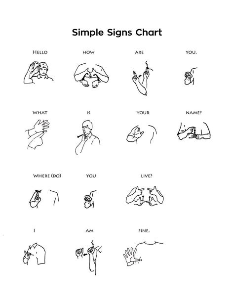 Sign Languages 🤙 on Twitter | Sign language chart, Sign language words, Sign language phrases