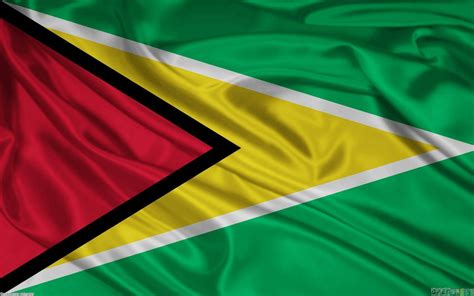 National Flag Of Guyana - RankFlags.com – Collection of Flags