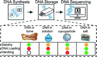 Stabilizing synthetic DNA for long-term data storage with earth ...