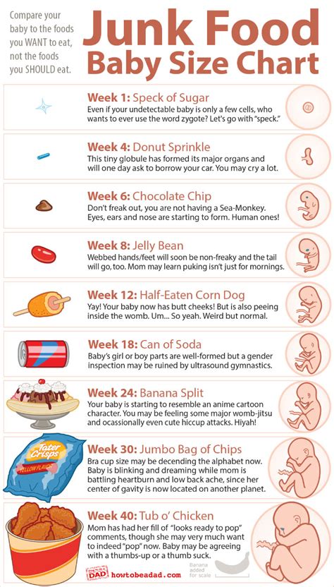 Husband sent this to me. Funny babysize comparison chart. — The Bump