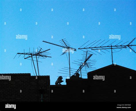 Antenna Tv Old Fashioned High Resolution Stock Photography and Images ...