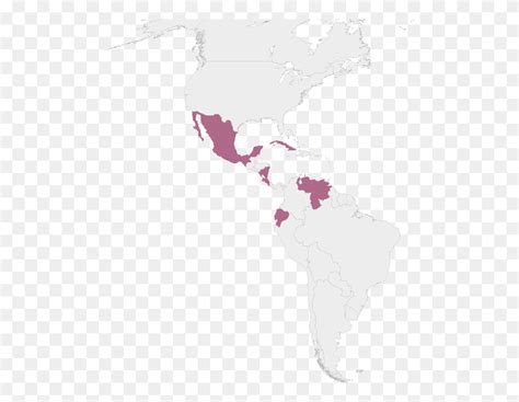 Iwpr In Latin America West Africa On A World Map, Map, Diagram, Plot HD PNG Download - FlyClipart