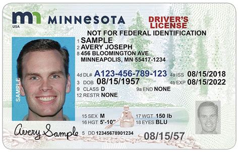 Minnesotans can now renew their standard driver's license online ...