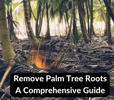 How to Remove Palm Tree Roots: 5 Easy Steps