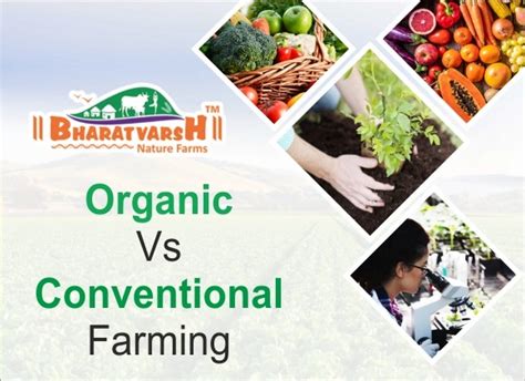 Differences Between Organic and Conventional Farming Methods - Bharatvarsh Nature