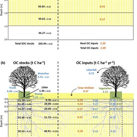 Measured soil organic carbon stocks and organic carbon inputs to the... | Download Scientific ...