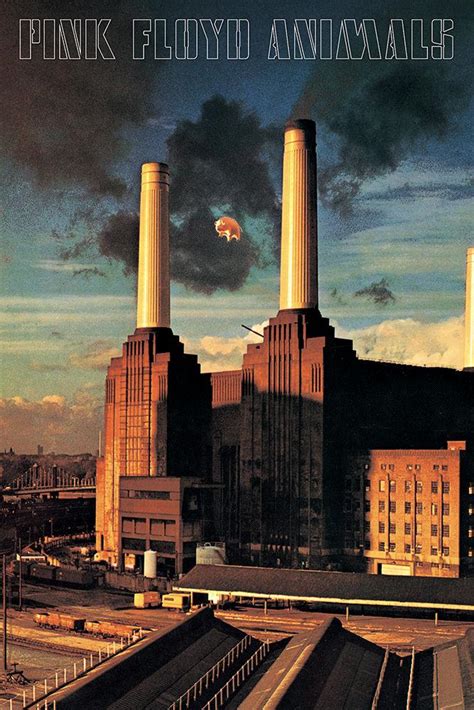 Pink Floyd - Animals Album Cover - Poster – TrippyStore