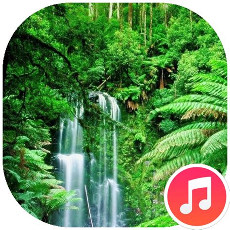 Rain Forest Sounds - Apps on Google Play