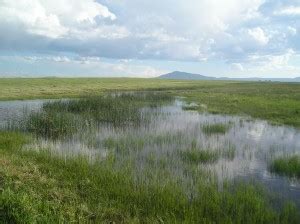 Capturing a vanishing voice in Wyoming - MSU Library | Montana State University