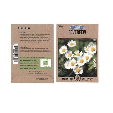 Feverfew Herb Garden Seeds - 700 Mg Packet - Non-GMO Medicinal Herbal ...