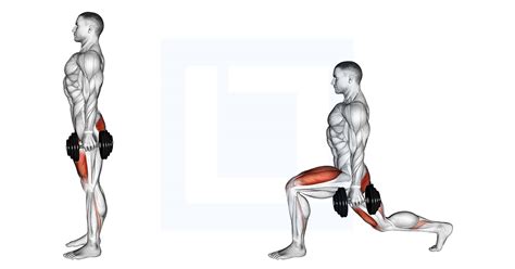 Dumbbell Rear Lunge - Guide, Benefits, and Form