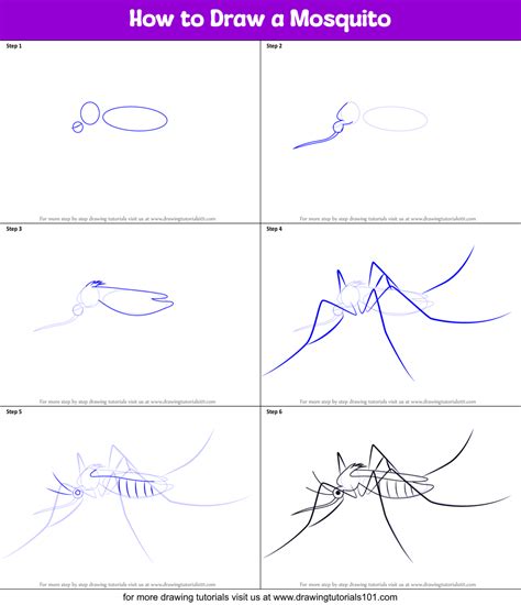 How to Draw a Mosquito printable step by step drawing sheet : DrawingTutorials101.com