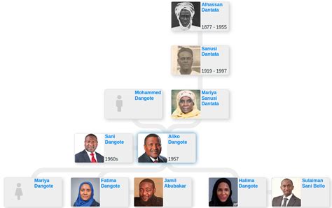 Family tree of Aliko Dangote - Blog for Entitree