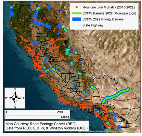 Mountain Lion Mortality Maps Show Rough Road for Cougars | Mirage News