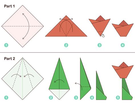 Tulipa esquema de origami tutorial em movimento modelo. origami para ...