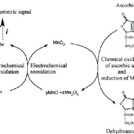 Key reactions for the hydrogen peroxide detector. | Download Scientific ...