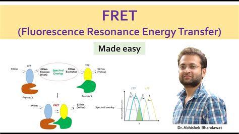 What is FRET (Fluorescence Resonance Energy Transfer) || förster ...