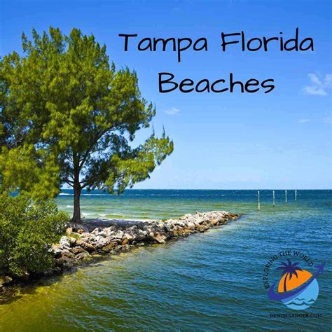 Tampa Florida Beaches: A Guide to Pristine Shorelines And A Wonderful ...