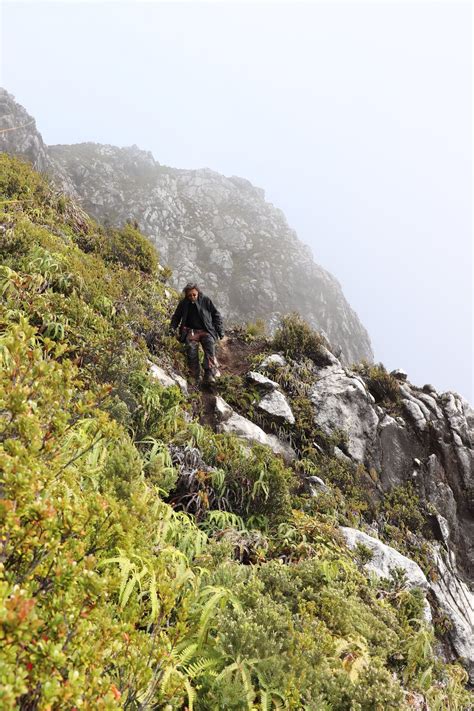 Trekkers Climb Mt. Apo Over The Long Weekend | Campsites & Trails Assessment | Mount Apo Natural ...