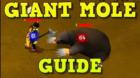 Giant mole guide osrs