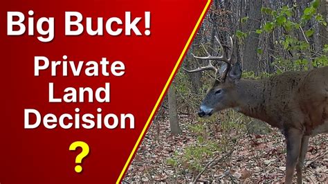 Bow Hunt Big Bucks - YouTube