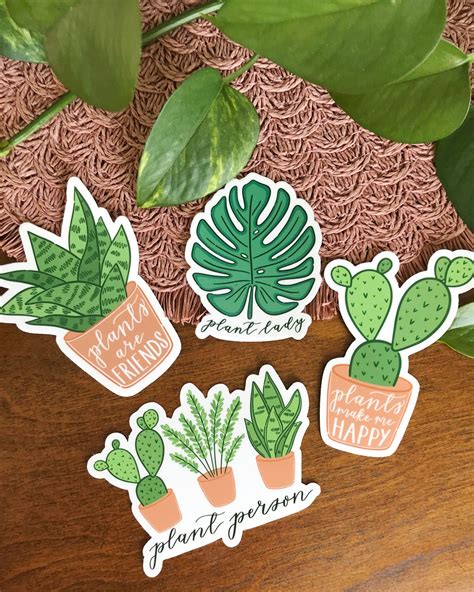 Cute Plant Sticker Pack Includes Stickers of Cactus | Etsy in 2020 | Plant lover gift, Etsy ...