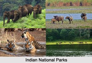 Indian National Parks