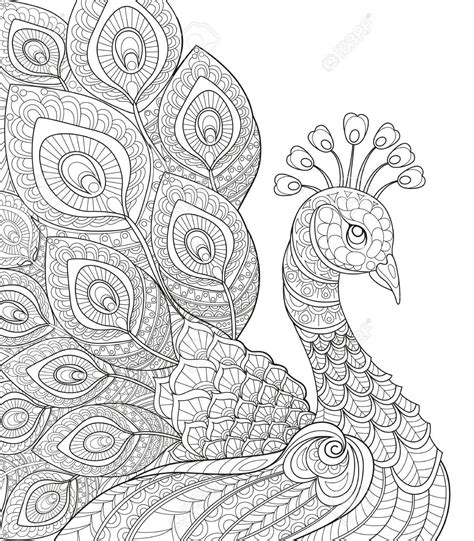 50024610-Peacock-Adult-antistress-coloring-page-Black-and-white-hand ...