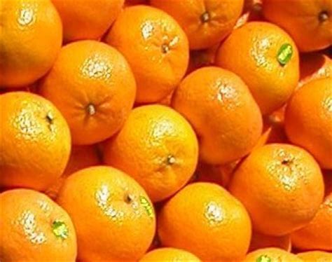 fresh mandarin(kinnu) products,Pakistan fresh mandarin(kinnu) supplier