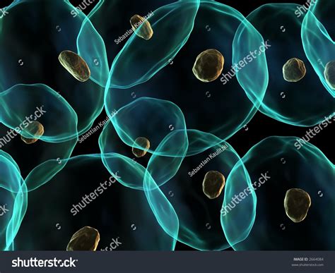 Ppt Templates For Biology