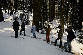 File:HFCA 1607 NPS Employees, Women 282.jpg (613109fe81db4262a128d95095246859).jpg - Wikimedia ...